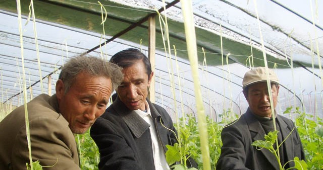 �������Y