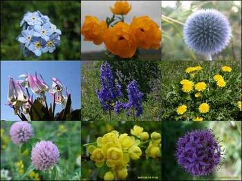 �������Y