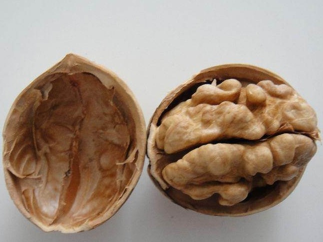 �������Y