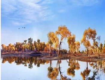 �������Y