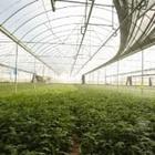 �������Y