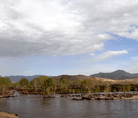 �������Y