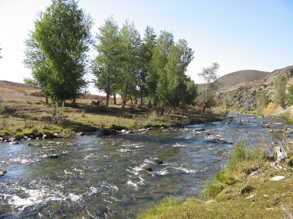 �������Y