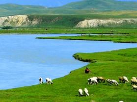 �������Y