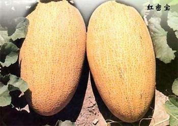 �������Y