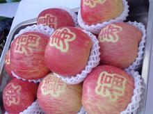 �������Y