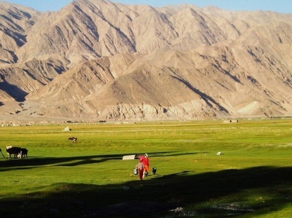 �������Y