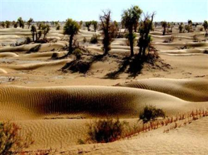 �������Y