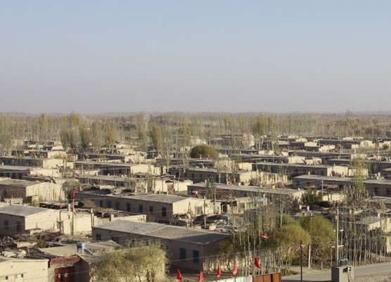 �������Y