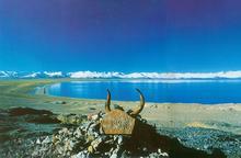 �������Y