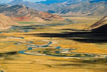 �������Y