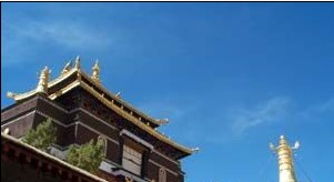 �������Y