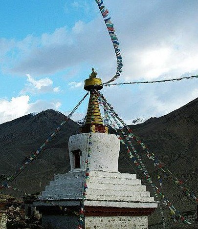 �������Y