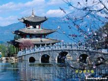 �������Y