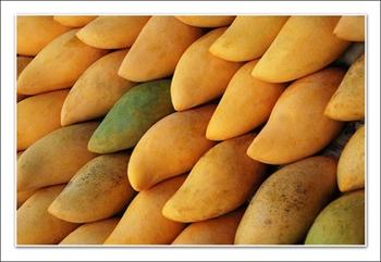 �������Y