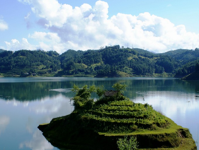 �������Y