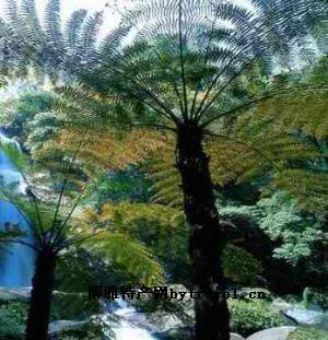 �������Y