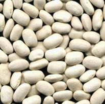 �������Y