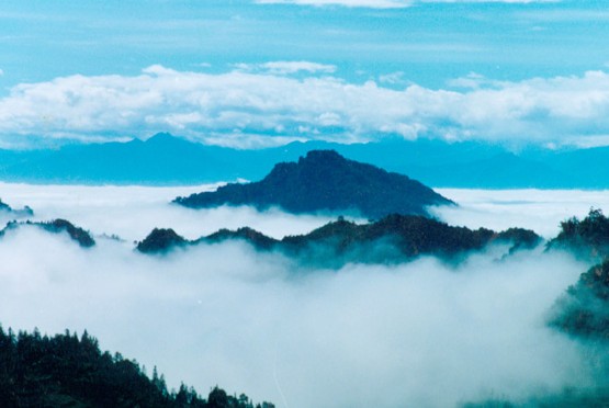 �������Y