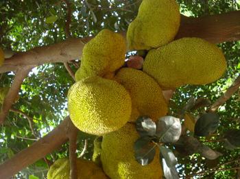 �������Y