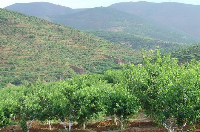 �������Y