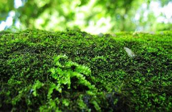 �������Y