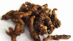 �������Y