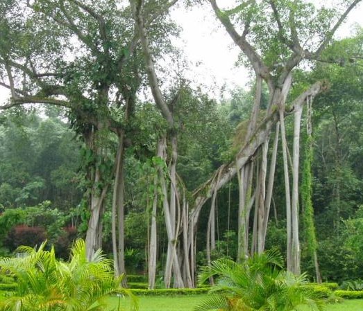 �������Y