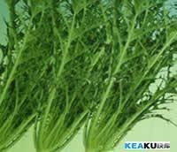 �������Y