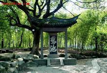 �������Y