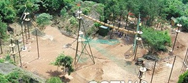 �������Y