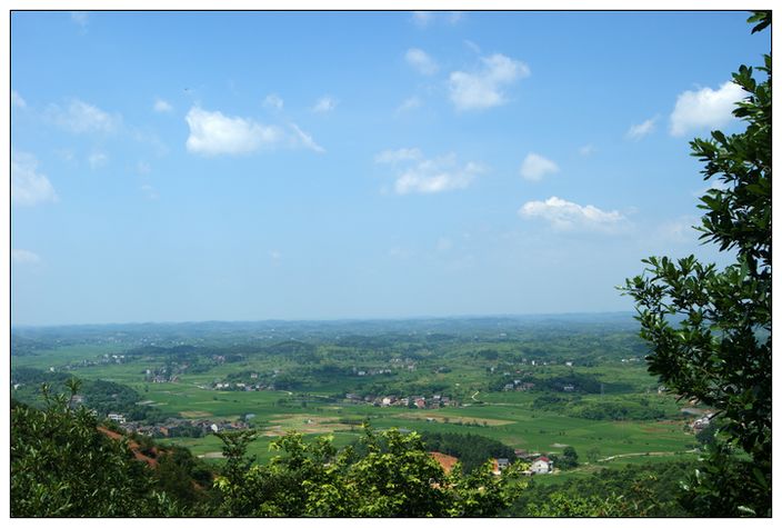 �������Y