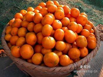 �������Y