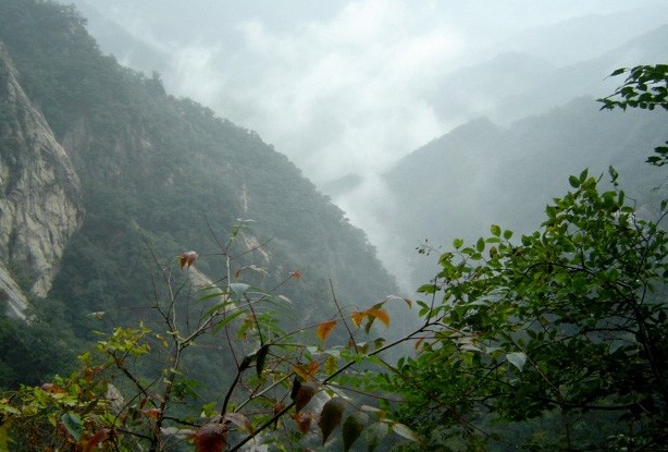 �������Y